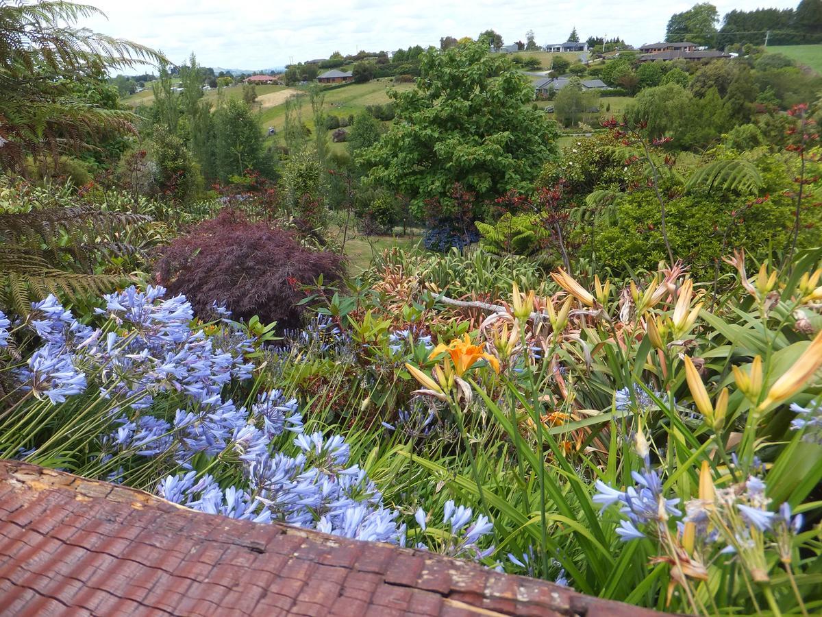 Waitomo Golfstays B&B Otorohanga Exterior photo